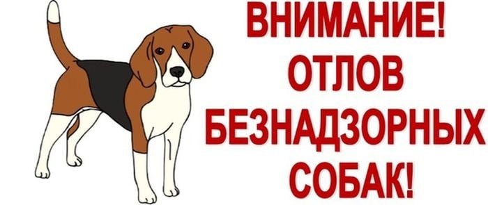 Отлов домашних животных без владельцев.