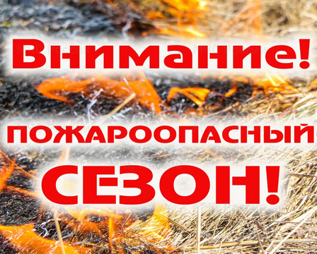 Пожароопасный сезон в Кирово-Чепецком районе объявлен с 19.04.2025 г..