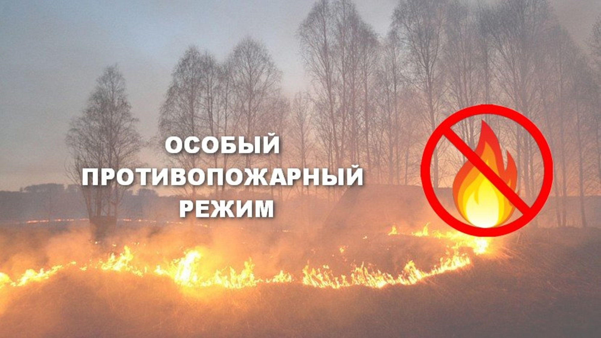В лесах Кировской области установлен особый противопожарный режим.